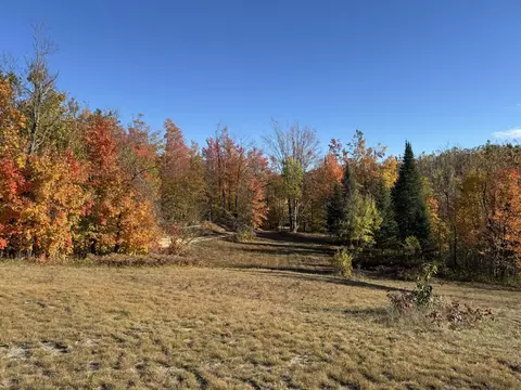 1722 Mcgregor Rd, Vanderbilt, MI 49795 photo 9