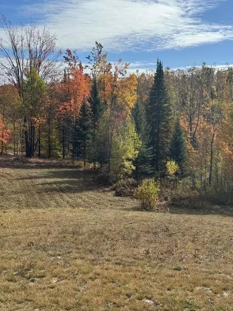 1722 Mcgregor Rd, Vanderbilt, MI 49795 photo 11