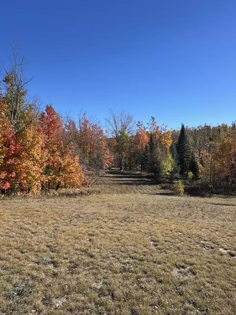 1722 Mcgregor Rd, Vanderbilt, MI 49795 photo 10