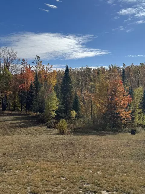 1722 Mcgregor Rd, Vanderbilt, MI 49795 photo 15