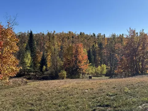 1722 Mcgregor Rd, Vanderbilt, MI 49795 photo 17