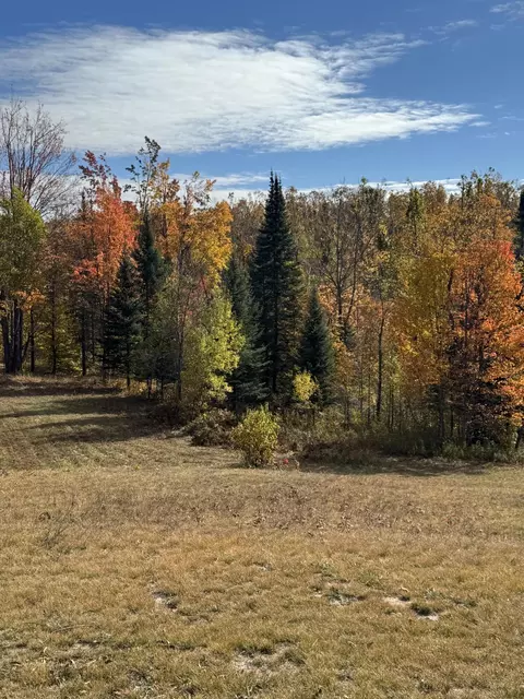 1722 Mcgregor Rd, Vanderbilt, MI 49795 photo 14