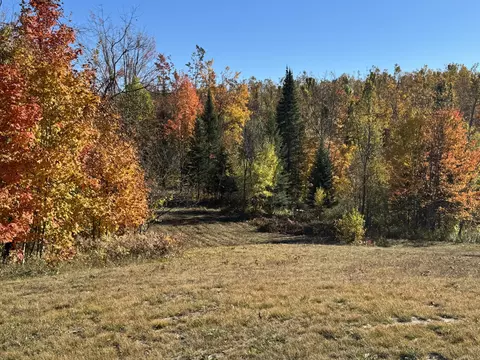 1722 Mcgregor Rd, Vanderbilt, MI 49795 photo 8
