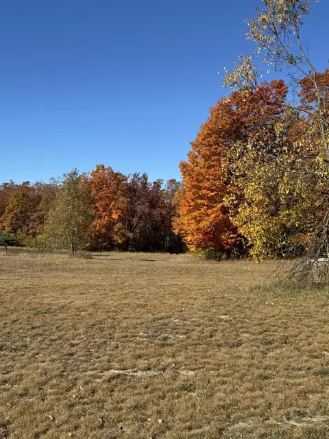 1722 Mcgregor Rd, Vanderbilt, MI 49795 photo 4