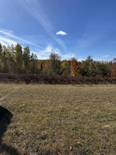 1722 Mcgregor Rd, Vanderbilt, MI 49795 photo 13