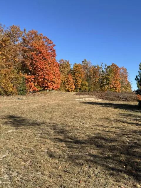 1722 Mcgregor Rd, Vanderbilt, MI 49795 photo 5