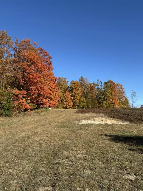 1722 Mcgregor Rd, Vanderbilt, MI 49795 photo 7