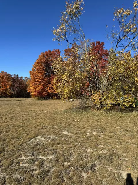 1722 Mcgregor Rd, Vanderbilt, MI 49795 photo 19