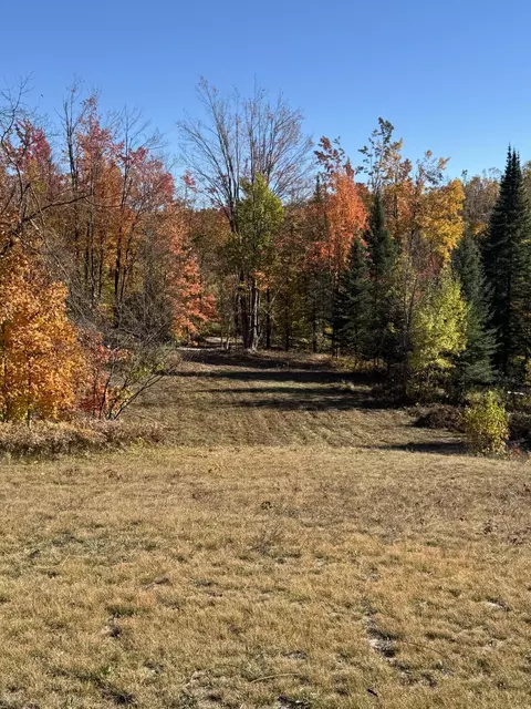 1722 Mcgregor Rd, Vanderbilt, MI 49795 photo 21
