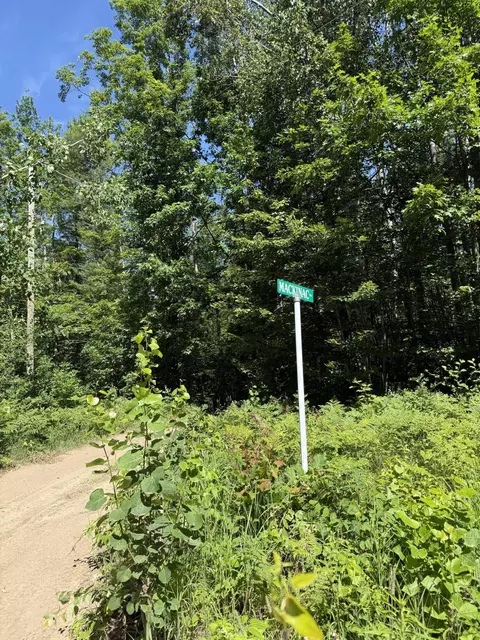 375 Mackinaw Trl #V/L, Gaylord, MI 49735