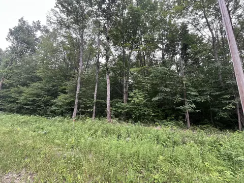 71 Valleyway Dr, Elmira, MI 49730