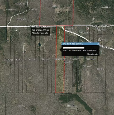 Other - 5393 Old Vanderbilt Rd, Vanderbilt, MI 49795 photo 10 of 10