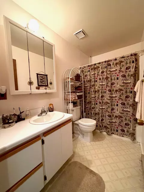 110 Crooked Oak Ct, Roscommon, MI 48653 photo 11