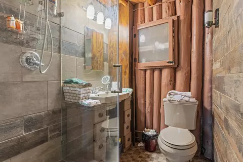 Bath - 5004 Reed Rd, Mio, MI 48647 photo 3 of 3