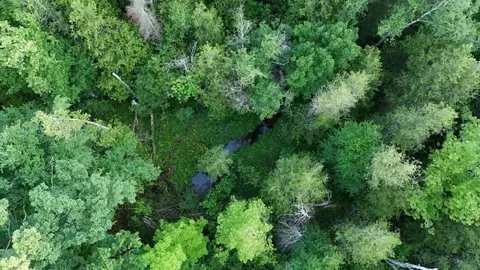 Other - 2013 E Ritchie Rd, Lincoln, MI 48742 photo 1 of 16