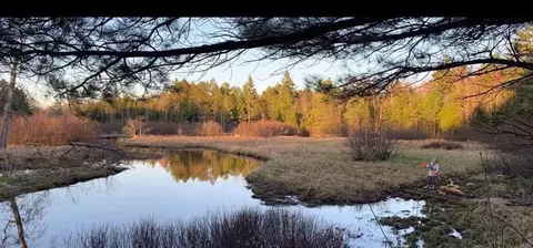 View/Area - 4337 E Green Dr, Roscommon, MI 48653 photo 3 of 3