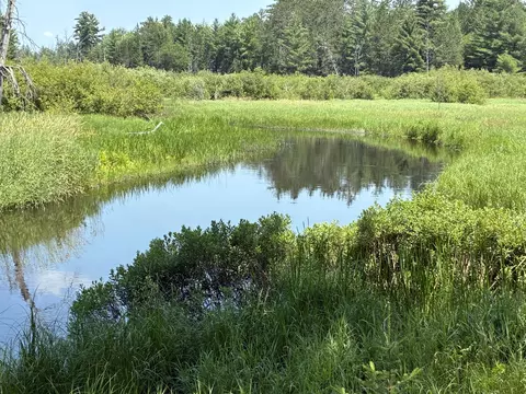 View/Area - 4337 E Green Dr, Roscommon, MI 48653 photo 1 of 1