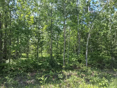 pineview drive LOT 76, Mancelona, MI 49659