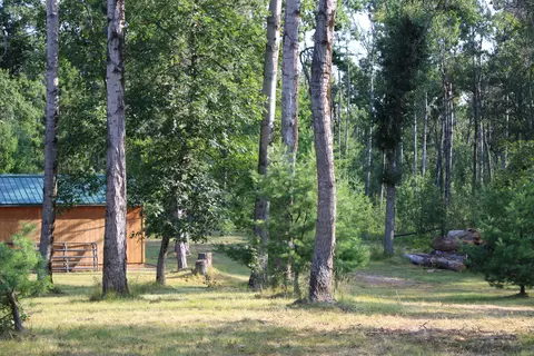 3195 Saddleback Lake Rd, Comins, MI 48619 photo 4