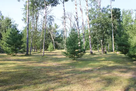 3195 Saddleback Lake Rd, Comins, MI 48619 photo 8