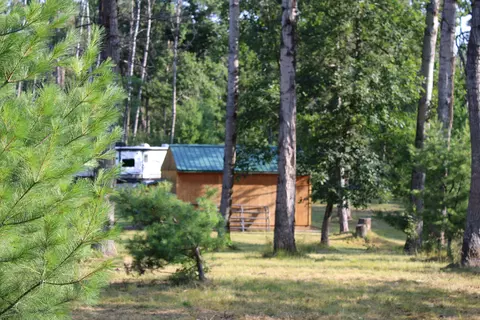 3195 Saddleback Lake Rd, Comins, MI 48619 photo 6