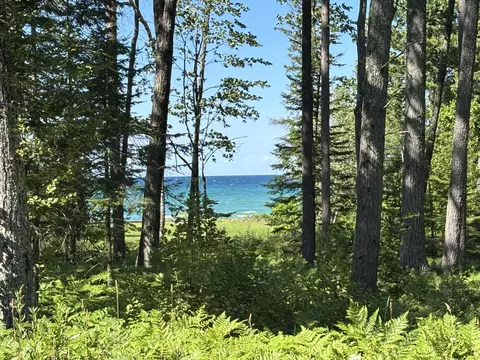 Parcel C Evergreen Highway #18.02 ACRES, Rogers City, MI 49779