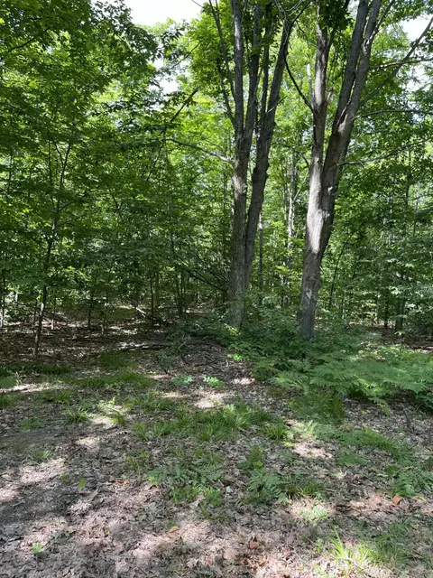 Exterior - 5188 Troopers Trl, Frederic, MI 49733 photo 7 of 8
