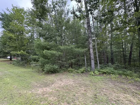 29060 County Road 624, Hillman, MI 49746