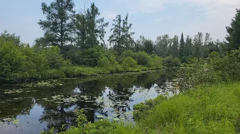 juniper way, Grayling, MI 49738 photo 2