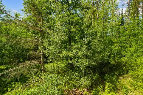 Other - 151 N Abbe Rd, Fairview, MI 48621 photo 14 of 14
