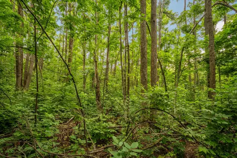 dunham road, Vanderbilt, MI 49795 photo 21
