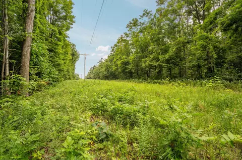 dunham road, Vanderbilt, MI 49795 photo 29