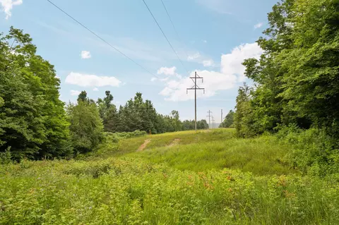 dunham road, Vanderbilt, MI 49795 photo 15