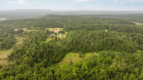 dunham road, Vanderbilt, MI 49795 photo 20