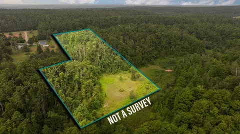 dunham road, Vanderbilt, MI 49795 photo 31