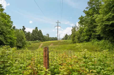 dunham road, Vanderbilt, MI 49795 photo 17