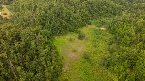 dunham road, Vanderbilt, MI 49795 photo 16