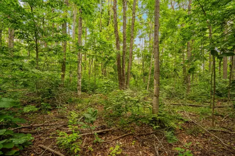 dunham road, Vanderbilt, MI 49795 photo 26