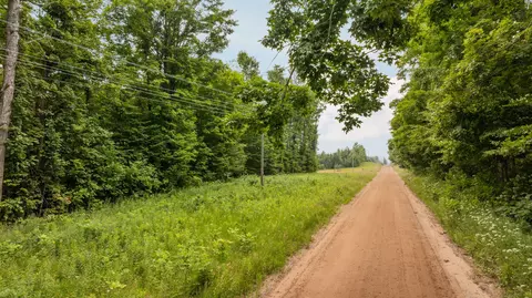dunham road, Vanderbilt, MI 49795 photo 3