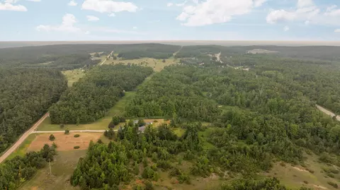 dunham road, Vanderbilt, MI 49795 photo 8