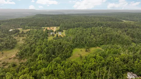 dunham road, Vanderbilt, MI 49795 photo 18