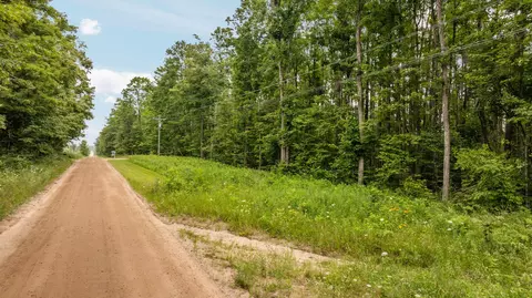 dunham road, Vanderbilt, MI 49795 photo 27