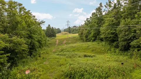 dunham road, Vanderbilt, MI 49795 photo 9