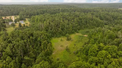 dunham road, Vanderbilt, MI 49795 photo 14