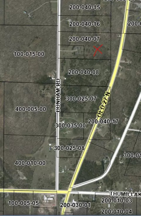dunham road, Vanderbilt, MI 49795 photo 2