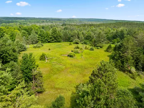 ford road, Wolverine, MI 49799 photo 7