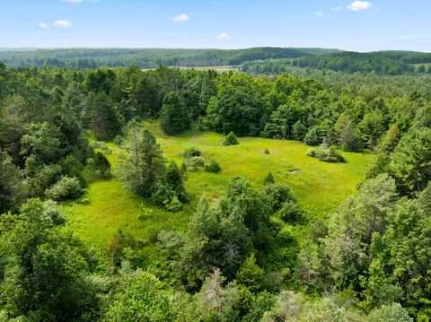 ford road, Wolverine, MI 49799 photo 5