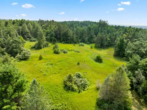 ford road, Wolverine, MI 49799 photo 4
