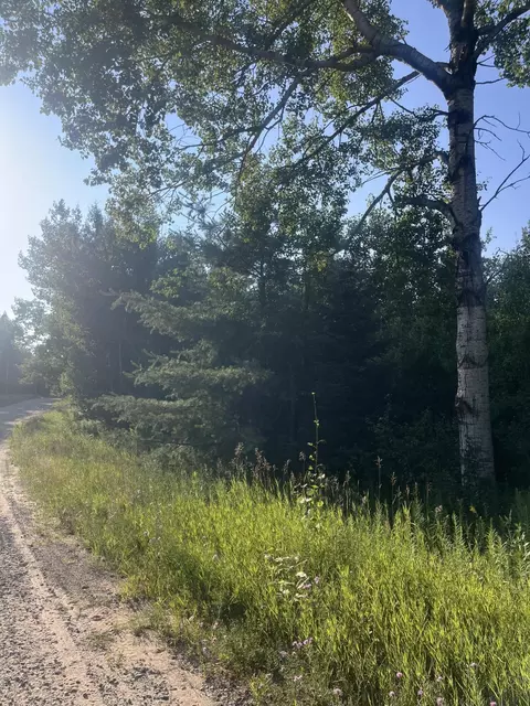 lot28 Valleyway Dr, Elmira, MI 49730