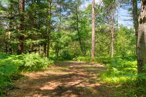 Other - 719 Wright Rd, Grayling, MI 49738 photo 21 of 23